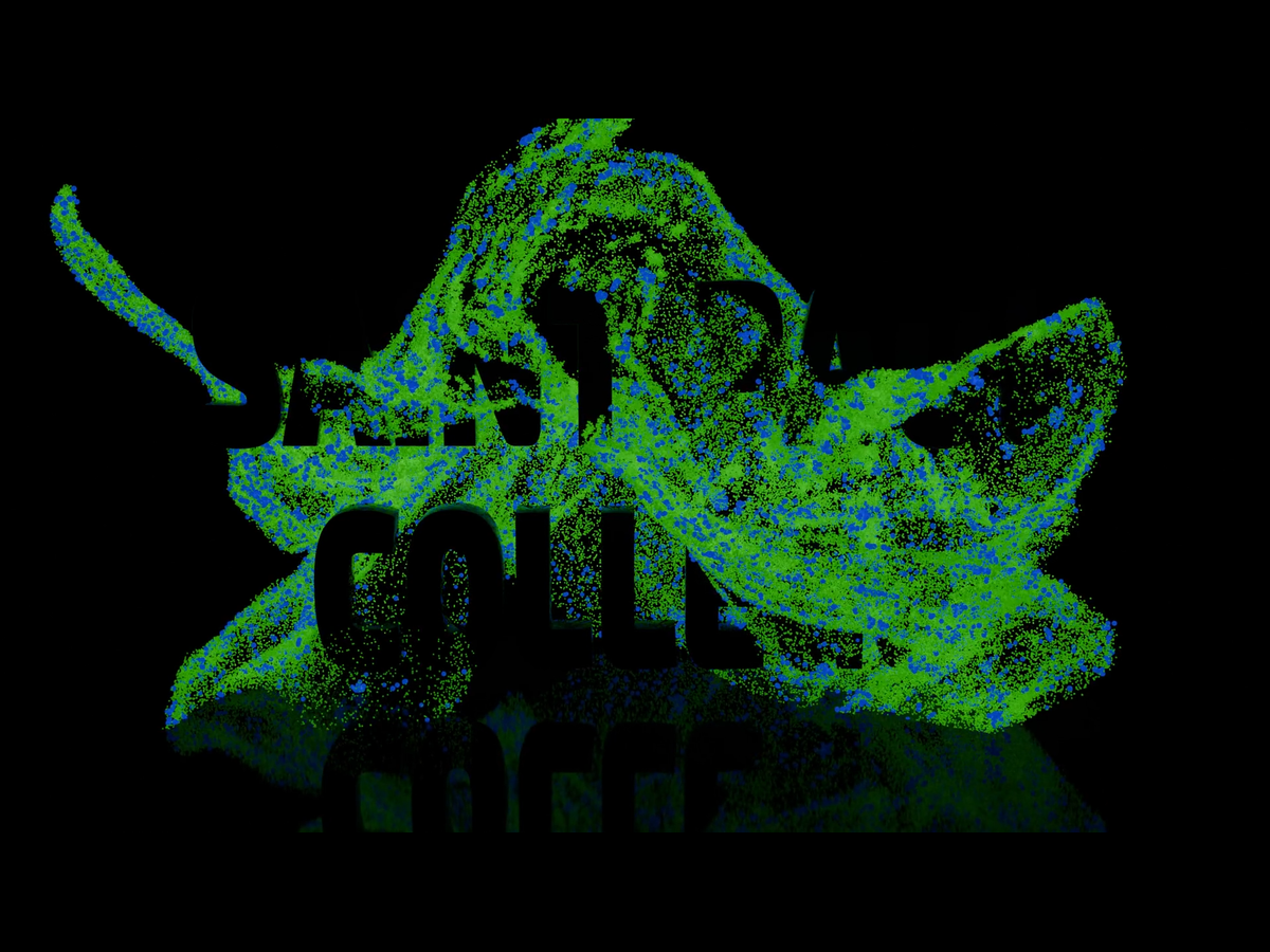 Text Particles project preview
